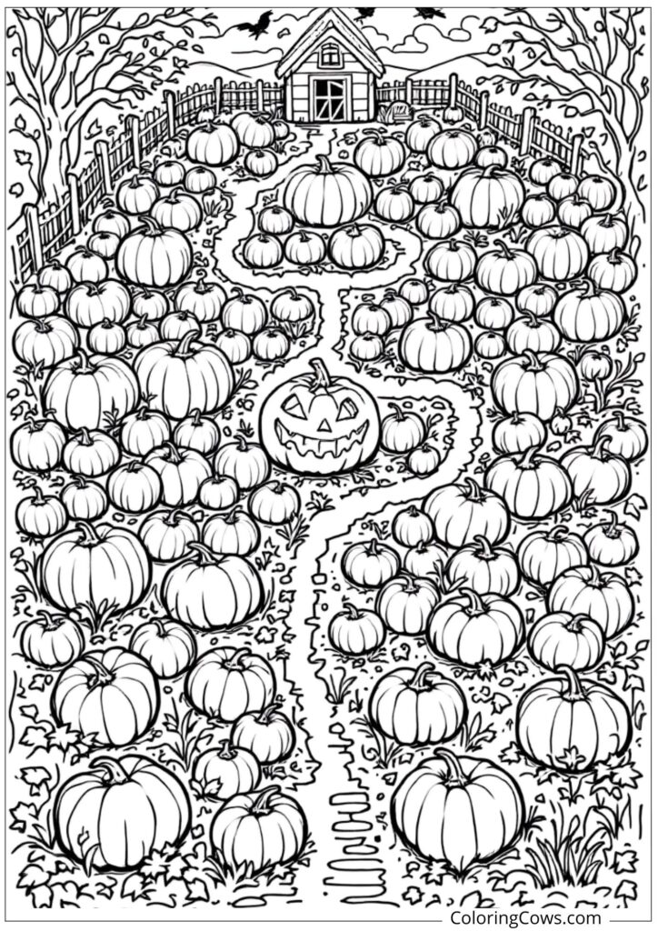 Pumpkin Patch Adventure Maze