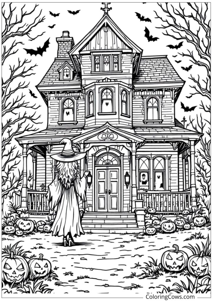 Witch at Haunted House